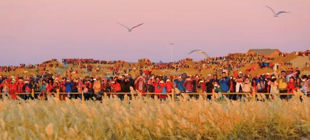 走进魅力北疆 遇见金色阿拉善