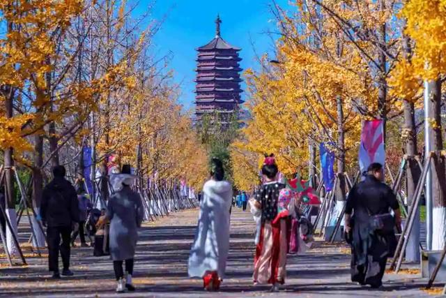 “丰”韵四季 | 一河铺锦绣，园博绽芳华