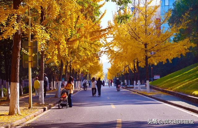 限时绝美!黄石街头进入颜值巅峰
