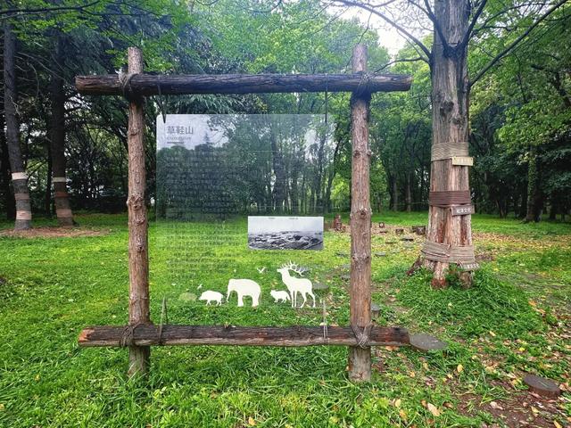 昆山兵希惊现考古重地,想起10年前无人问津的草鞋山