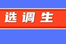 谁能成为中央选调生？揭秘背后的艰辛之路图片