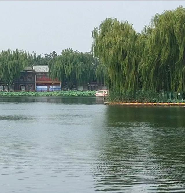 王林平随笔《置身北海》