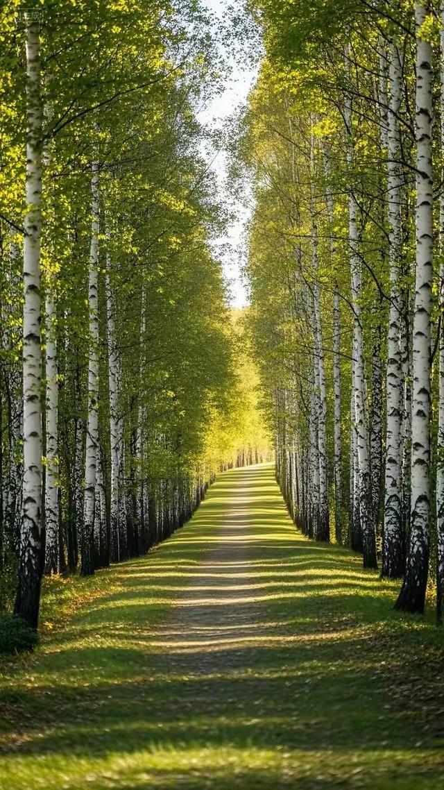 缁胯壊鎶ょ溂澹佺焊缇庡浘