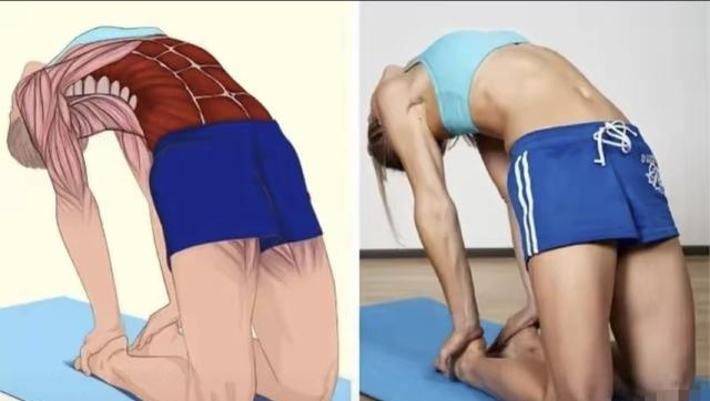 人民日报力荐！9个「懒人瑜伽」动作，每天10分钟瘦全身+疏通经络