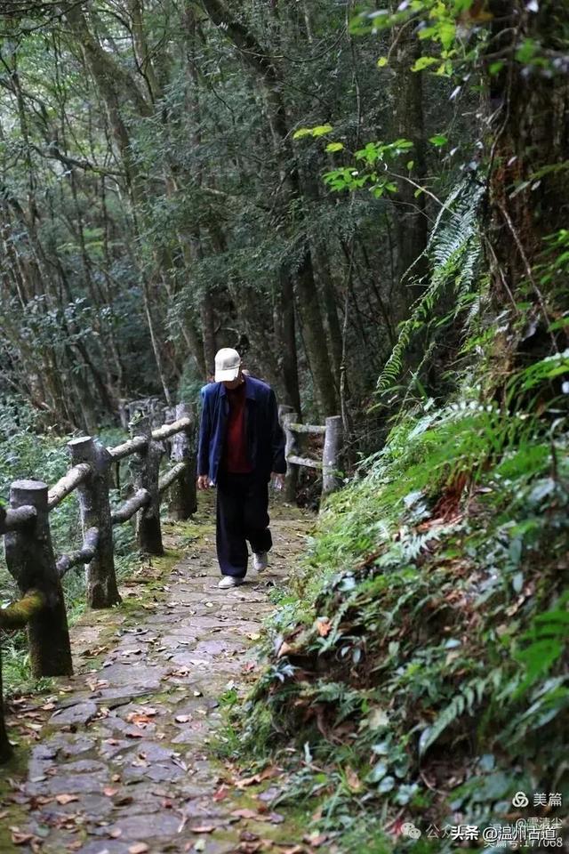 远上乌岩岭上斜,白云生处白云尖!温州这处秋日美景值得一去!