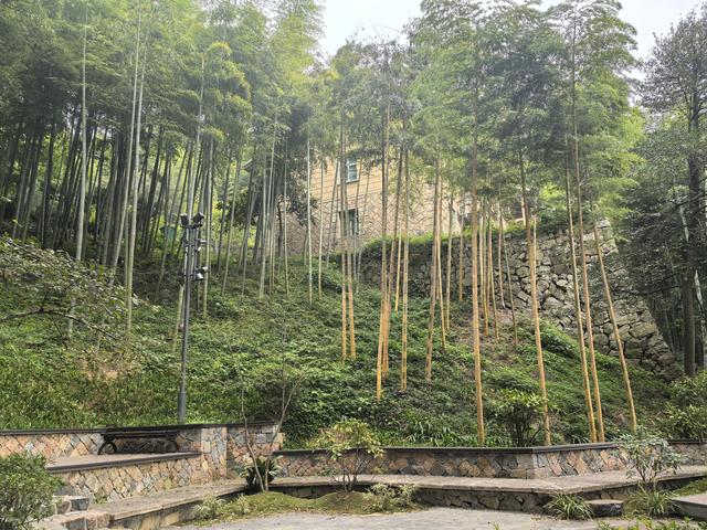 浙江湖州市德清县莫干山国家风景名胜区游记（下）