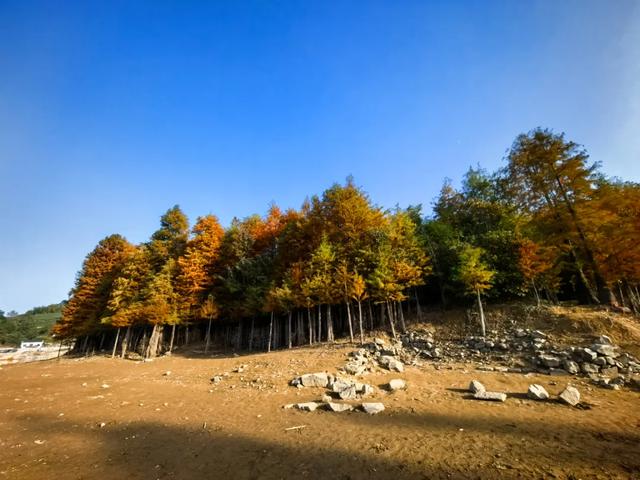 旅游的乐趣之一——结交更多的知己好友