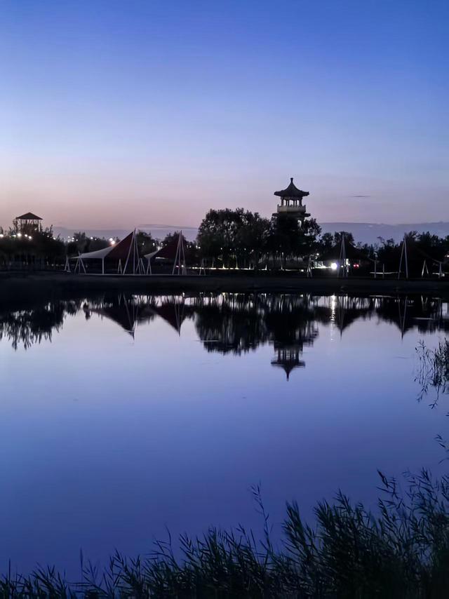 领略额济纳旗不一样的胡杨林风光