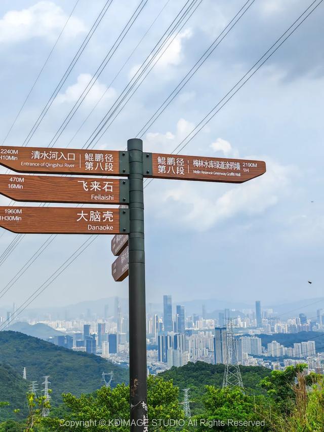 深圳徒步！超适合新手小白的3条郊野径路线，地铁公交直达还免费