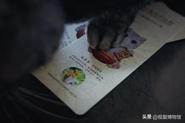 观复666！暑期周六半价遛起！