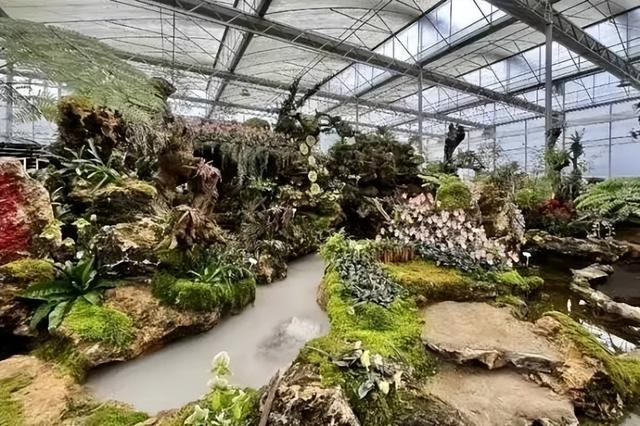 乘坐高铁至兴义南站的旅客，可享受这项旅游优惠→