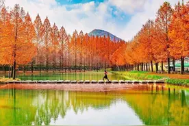 岸边水景，这么拍，绝美！图片