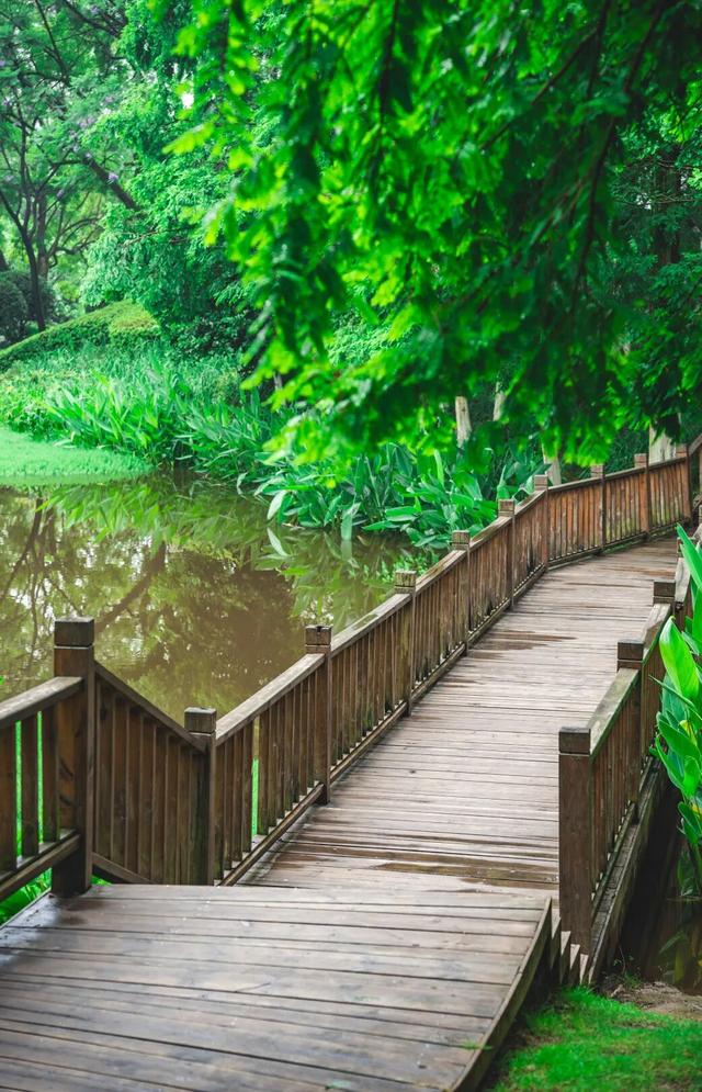 周末隐逸计划丨探秘南岸清幽街镇，独享山水间的诗意慢生活
