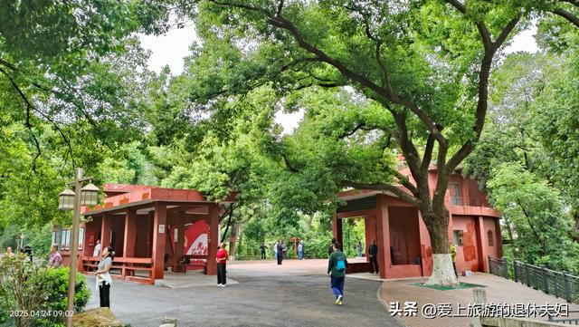 出游第7站-岳阳：因去的不是时候,愉悦与失落参半,岳阳楼值得登吗
