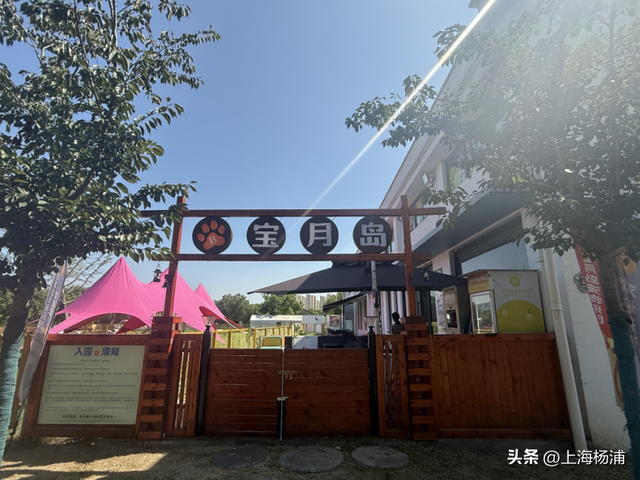 周末来复兴岛，做休闲“岛民”