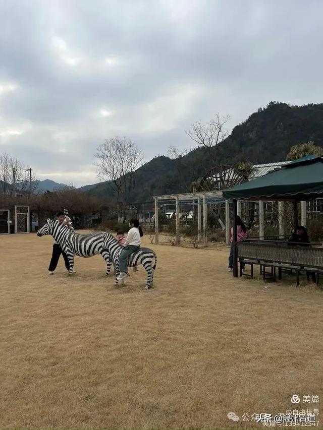 一步一景，奇石不断！温州这处奇石纷呈的的免费景区你可去过？