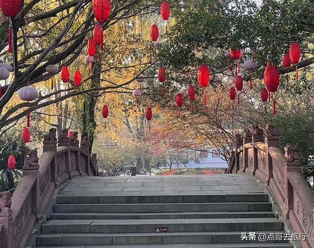 成都被私藏的彩林公园，流金溢彩，充满老城烟火气，地铁公交直达