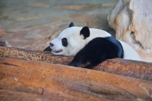 寒假溜娃首选！海口唯一大型科技馆，值得专门跑一趟