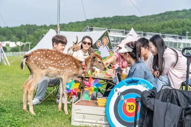 长春拟新增2家4A级景区