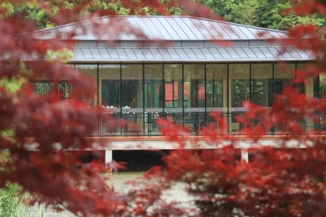艺术花展、篝火露营、田园美食……上海郊野这些限定精彩别错过→