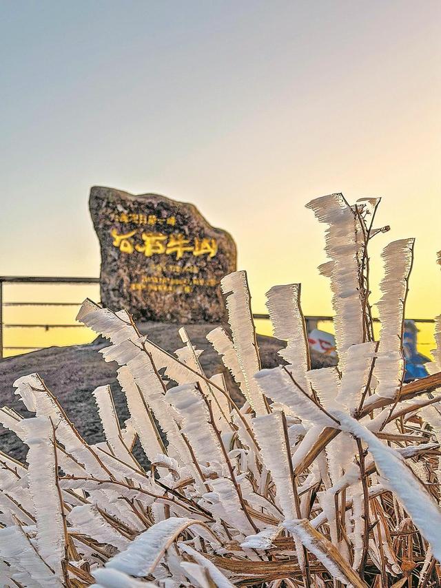 泉州德化：一夜雾凇起，漫山琉璃境
