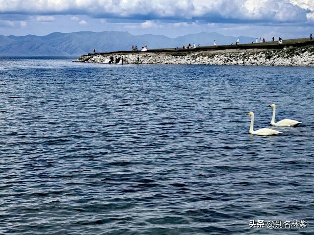 花145元自驾新疆赛里木湖，值吗？附环湖自驾攻略及游玩重点（5）
