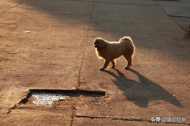 无锡记忆：2009年5月的无锡石塘湾老街