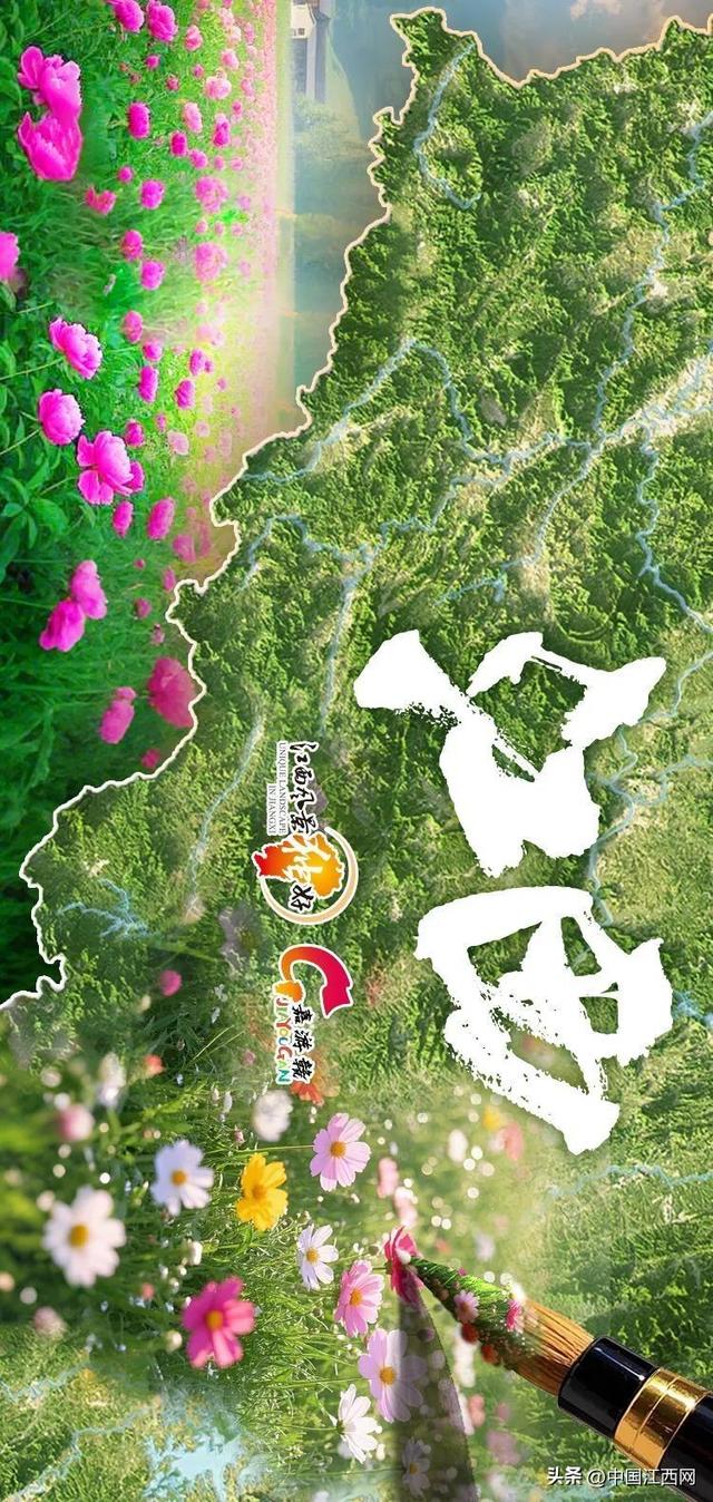 探春花丨江西春日赏花地图正式发布！