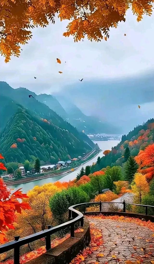 顶级绝美的秋色，秋韵，秋景，美醉了