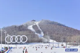 携程：“冷资源”释放“热消费”！近一周滑雪热度环比大涨50%图片