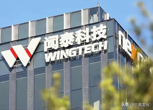 1次文明反击，让两强盗犯傻：从安世半导体事件看全球秩序的重构