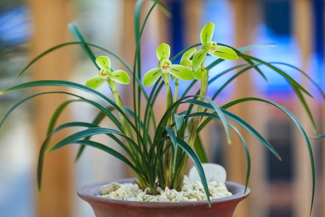 两性关系：为什么女人过了50岁，比年轻时更渴望这三种陪伴？