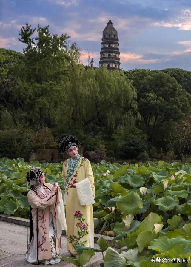 苏州的夜晚，音浪太强~