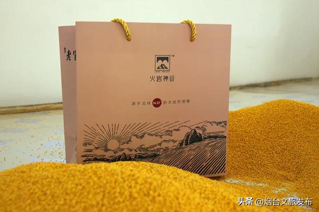 【乐游烟台】丰收季,烟台秋日采摘全攻略来啦!