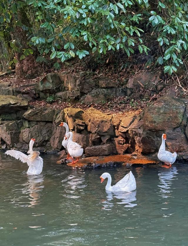 绍兴是不是有高人指点？第一次去绍兴，说点真实的肺腑之言