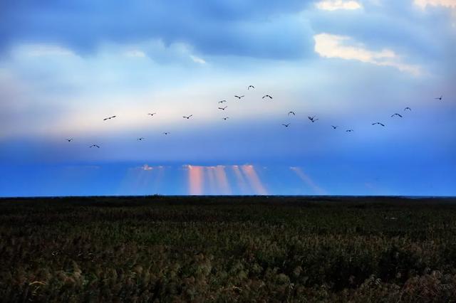 湿地、日出、星空、美食……来自这里的邀请函是否让你心动?