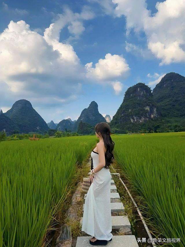 阳朔寻踪：在“栀子花下”，与稻田共赴一场蓝天白云的约会