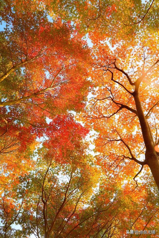 拥堵预警！这周末大家都去......