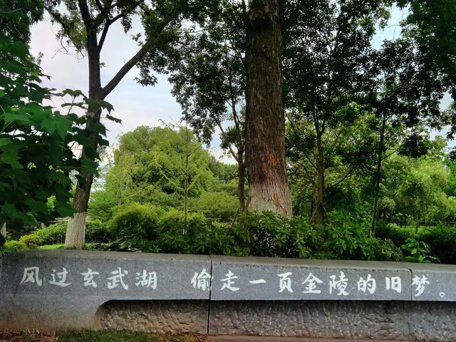 安享一刻：湖边宴坐