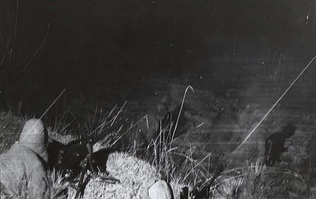 全团3500人仅剩下200余人逃脱，美军北极熊团算不算被全歼？