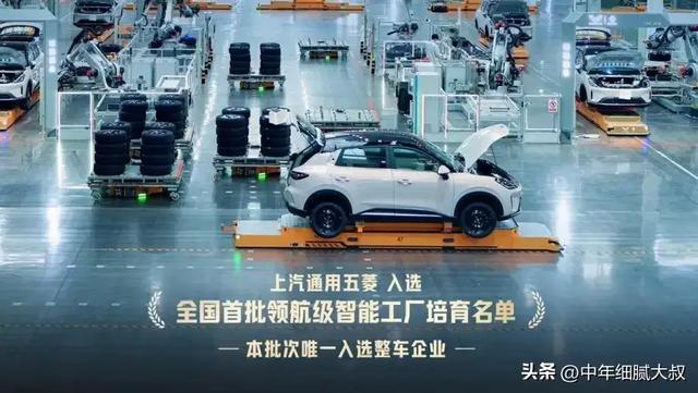 我的年度菱感记忆：五菱新能源	，为何火遍街巷？