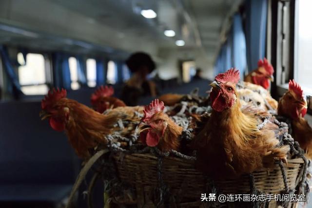 彝路风情绿皮车“5633”：