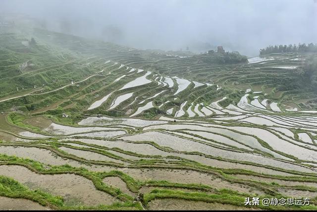 我是河南人,去了趟浙江丽水,忍不住想说说,丽水给我的印象