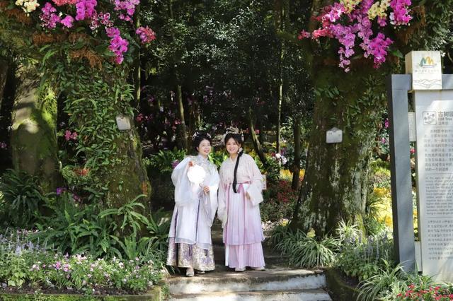 来从化，赴一场花海与音乐的约会！石门国家森林公园首届花海音乐启幕