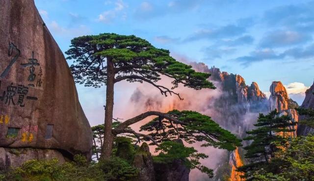 通航在即！解锁戈壁落日与江南烟雨的邂逅密码