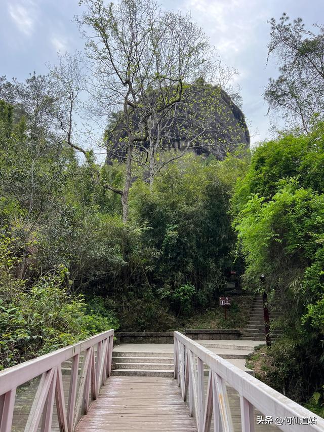 武夷山，其标志性的景点即玉女峰，也是福建省的地标