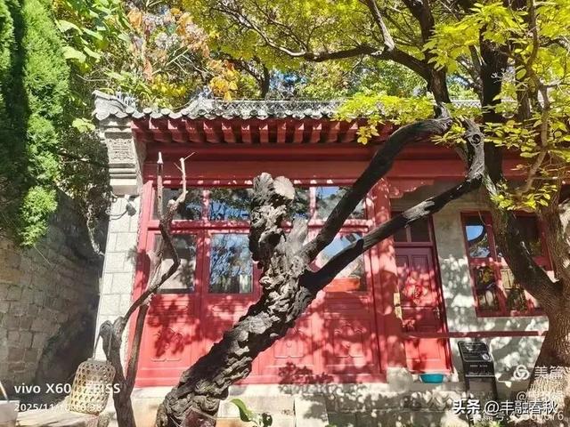 青岛崂山华严寺：山海间的禅意清响｜申艳娟