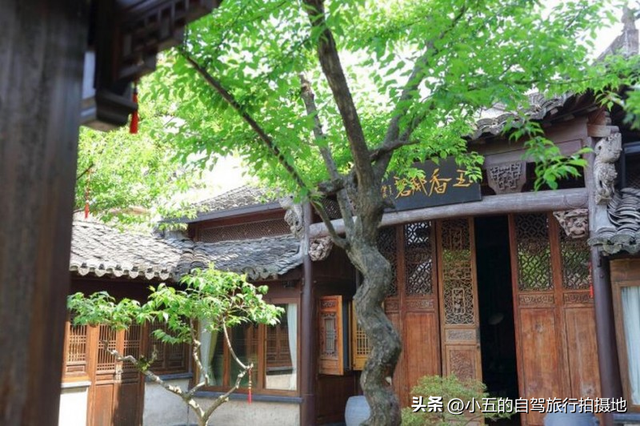 2025塔川红叶季指南：从臭鳜鱼到脱口秀，古村里的N种打开方式