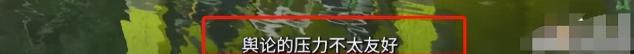 陈梦忍无可忍！回应与王楚钦领证传闻，终于为自己私生活谣言正名