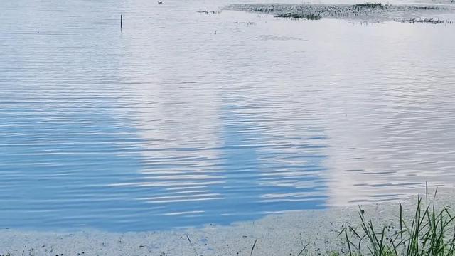 大美泌阳系列之菌都公园：荷香逸韵 秋染园景